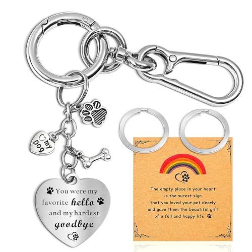 Belloxis Pet Memorial Gifts for Loss of Dog | Stainless Bridge Card Keychain, Rainbow Loss Sympathy Gift, Animal Paw Print Heart Key Chain for Women Men Pet Died - color: Stainless Steel Silver