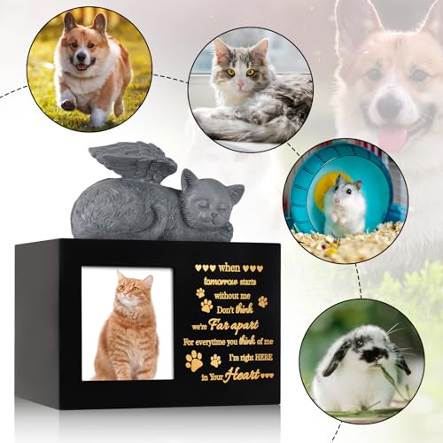 Pet Urns for Ashes, Black Wooden Cat Urns for Ashes with Cat Angel, Cat Memorial Keepsake Memory Box with Photo Frame, Loss Pet Sympathy Remembrance Gift (Medium - Memory)