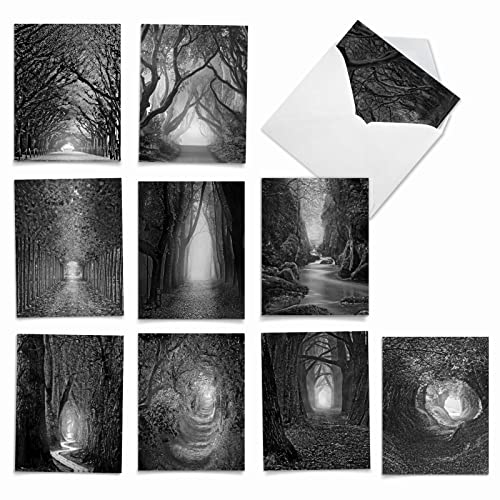The Best Card Company - 10 Blank Note Cards with Envelopes (4 x 5.12 Inch) - Black & White Photos, Bulk Boxed Set - Pathways AM6280OCB-B1x10 - style: Pathways