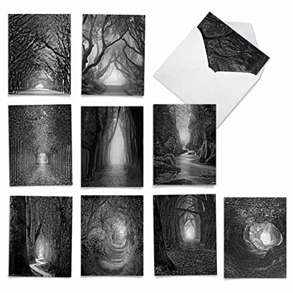The Best Card Company - 10 Blank Note Cards with Envelopes (4 x 5.12 Inch) - Black & White Photos, Bulk Boxed Set - Pathways AM6280OCB-B1x10 - style: Pathways