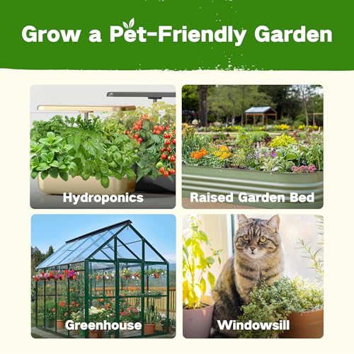 Lush&Dew Pet-Friendly Heirloom Seed Bank, Gardening Gifts for Women Men | 16 Varieties 15,000+ Non-GMO Seeds for Planting Herbs Flowers Vegetables in Raised Garden Bed Windowsill, Annuals Perennials - style: Pet-Friendly