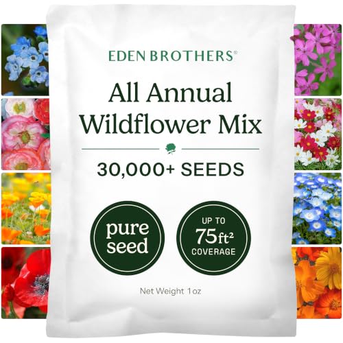 Eden Brothers All Annual Wildflower Mixed Seeds for Planting, 1 oz, Seeds with Sunflower, Indian Blanket, Scarlet Flax | Attracts Pollinators, Plant in Spring, Zones 3, 4, 5, 6, 7, 8, 9, 10 - size: 1 Ounce, style: All Annual