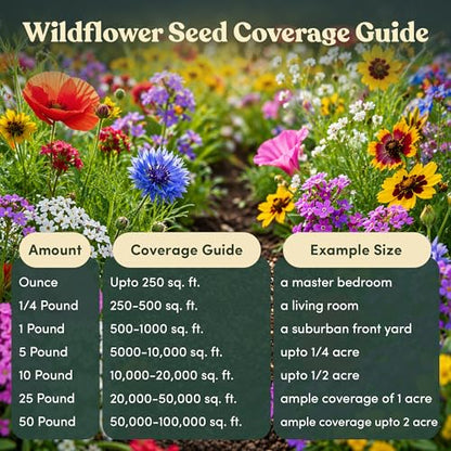 Wildflower Seed Shaker – Annual Mix by GevaGrow | 17 Variety Flower Seeds for Planting in Pots & Outdoor Gardens, Bulk 300,000+ Seeds - 1 Pound Tub - size: 1 Pound Tub, style: Annual Wildflower Mix