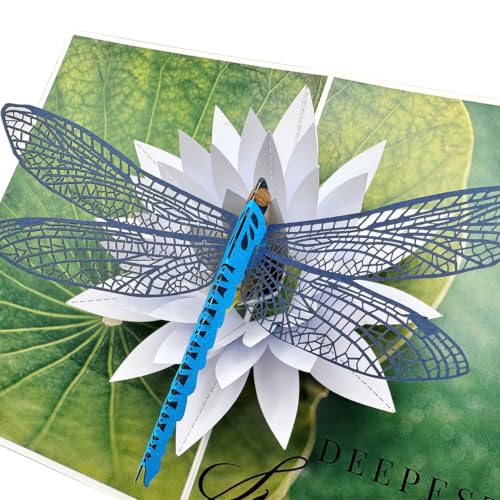 Pop Up Sympathy Card, 3D Dragonfly Waterlily, Sorry for Your Loss Card | Beautiful PopUp Sympathy Cards for Loss of Loved One, Mother, Father, Mom, Dad, Child, Sister, Condolence Card w Envelope - color: AFL DRAGONFLY SYMPATHY
