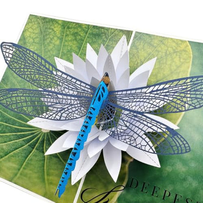 Pop Up Sympathy Card, 3D Dragonfly Waterlily, Sorry for Your Loss Card | Beautiful PopUp Sympathy Cards for Loss of Loved One, Mother, Father, Mom, Dad, Child, Sister, Condolence Card w Envelope - color: AFL DRAGONFLY SYMPATHY