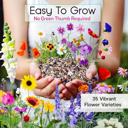 NatureZ Edge Wildflower Seeds Mix – 2 Oz, 85,000 Seeds, 35 Variety Perennial & Annual Flower Seeds to Plant Outside, Bulk Wildflower Seeds, Wild Flower, Semillas de Flores - size: 2 oz