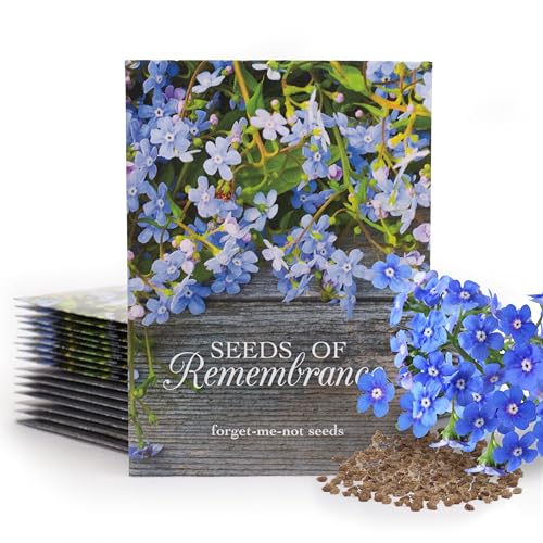 Bentley Seed Co. | Seeds of Remembrance | Pre Filled Non-GMO, Non-Coated Forget Me Not Seeds Packets | Perfect Memorial Service Giveaways and Celebration of Life Decorations | Pack of 25 - style: Seeds of Remembrance Forget-Me-Not Seeds