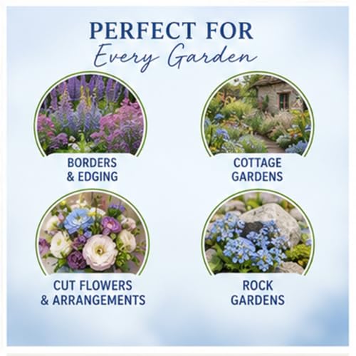 Chinese Forget-Me-Not Flower Seeds for Planting – 300+ Non-GMO & Heirloom Seeds, (Cynoglossum amabile), Blue Blooms for Pollinator Gardens, by Isla’s Garden Seeds, Great Gardening Gift