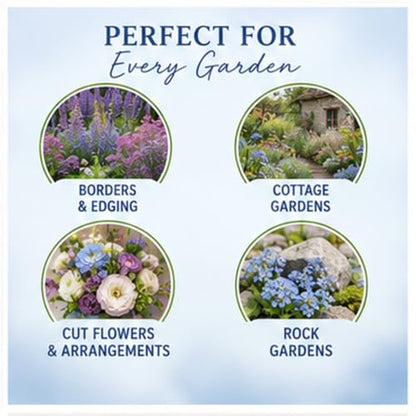 Chinese Forget-Me-Not Flower Seeds for Planting – 300+ Non-GMO & Heirloom Seeds, (Cynoglossum amabile), Blue Blooms for Pollinator Gardens, by Isla’s Garden Seeds, Great Gardening Gift
