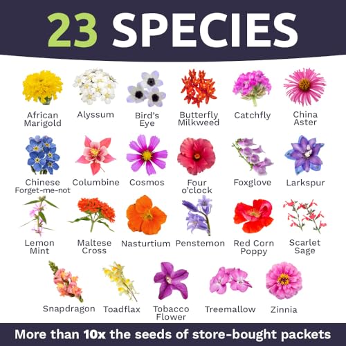 Bulk Wildflower Seeds Butterfly and Humming Bird Mix - 1/4 Pound Bag - Over 30,000 Open Pollinated Annual and Perennial Seeds - size: 1/4 Pound