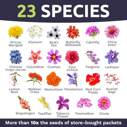 Bulk Wildflower Seeds Butterfly and Hummingbird Mix - 1 Pound Bag - Over 120,000 Open Pollinated Annual and Perennial Seeds - size: Bulk 1 Pound
