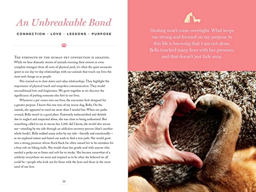 Connecting with Our Pets in Heaven: Interpret Signs from Animals in the Afterlife, Cope with Grief, and Heal