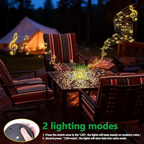Solar Lantern Outdoor Lights, Cute Metal Solar Frog Lamp with Sound - size: Frog