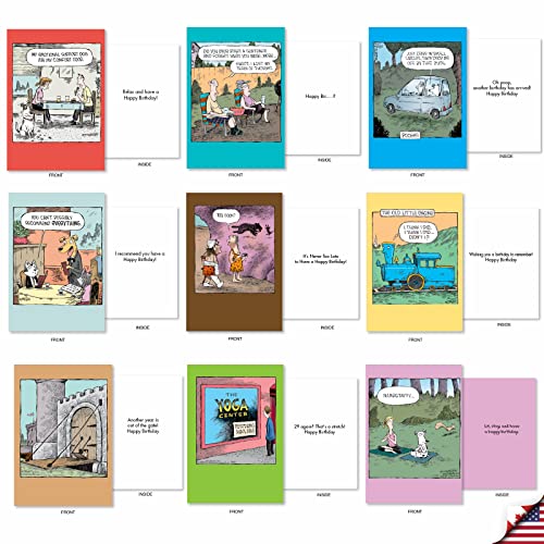 NobleWorks 36 Assorted Funny Birthday Cards in Bulk Box Set with Envelopes Dave Coverly Cartoon Humor Cake Time for Men and Women AC9375BDG-B1x36 - style: Dave Coverly's Cake Time