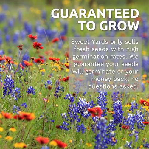 California Natives Mix - Bulk 1 Pound Bag - Over 120,000 Native Seeds - Open Pollinated and Non GMO - size: Bulk 1 Pound, style: California Regional Mix