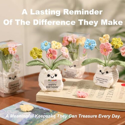 Forget-Me-Not Crochet Flower Potted Plant Gift - color: E-never Forget the Difference You Make
