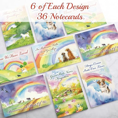 Geyoga 36 Set Pet Sympathy Card with Envelope Bulk, Rainbow - color: Rainbow