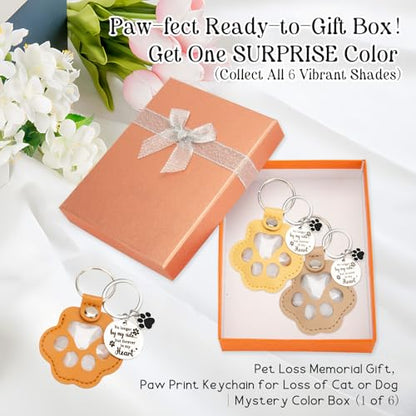 6 Pcs Pet Fur Memory Charm Keychain, Dog Hair Keychain for Memorial | Unique Pet Memorial Gifts for Dogs, Handmade Pet Fur Keepsake to Preserve Dog or Cat Hair