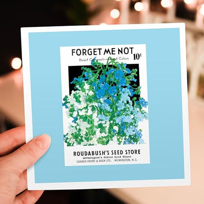 3dRose Forget Me not Dwarf Compact Roudabushs Seed Store 1 Greeting Card with envelope - size: 5.5”