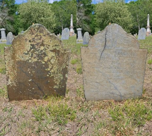 Endurance Gravestone & Monument Cleaning - Essential Set