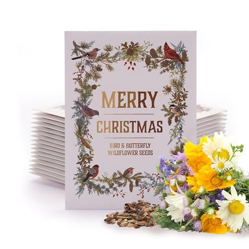 Bentley Seeds Co. Merry Christmas Wreath of Birds Holiday/Christmas Gift Tags | Non-GMO, Non Coated Bird & Butterfly Pollinator Wildflower Seed Mix | 25 Seed Packets - style: Merry Christmas