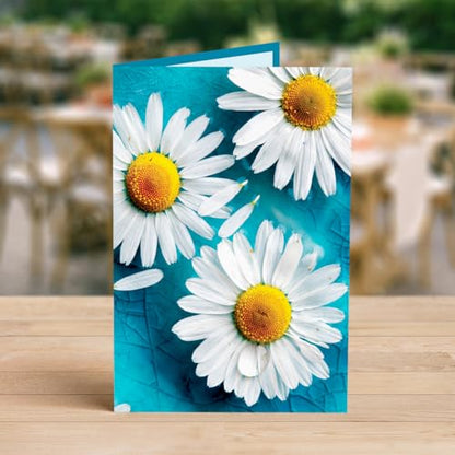 Designer Greetings For Your Words, Blank Cards 6 Pack | Daises, Boxed Card Set, Matching Envelopes - color: Daisies