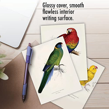 The Best Card Company - 10 Assorted Blank Notecards Bulk Box Set 4 x 5.12 Inch with Envelopes (10 Designs, 1 Each) - Birds of a Feather M6034 - style: Birds of a Feather