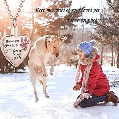 Fashion Pet Cremation Jewelry Stainess Steel Heart Keepsake Ashes Necklace Dog Cat Paw Memorial Urn Pendant - color: RG-Pink