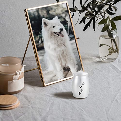 Small Urns for Pet Ashes,Silver Mini Urn for Dog/Cats Ashes - color: Silver