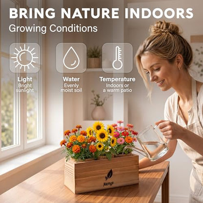 AVERGO Flower Seeds Growing Kit - Complete Indoor Plant Set | Complete Indoor & Outdoor Kit with Seeds for Planting, Planters, Soil, Tools, Instructions