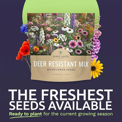 Deer Resistant Wildflower Seed Mixture - Bulk 1 Ounce Packet - Over 15,000 Deer Tolerant Seeds - Open Pollinated and Non GMO - size: 1 Ounce Pouch