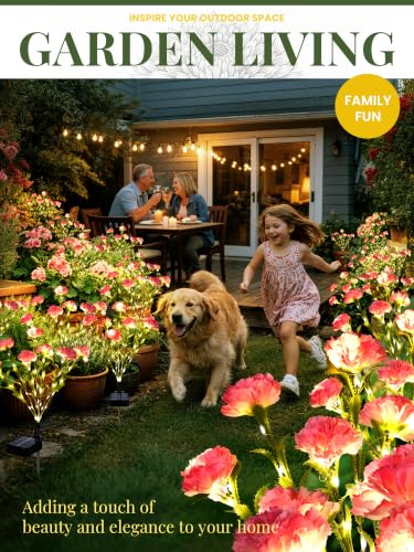 GIGALUMI 4 Pack Solar 28 Carnations Flowers Outdoor, 2 Modes, Pink - color: Pink, size: 4 PACK