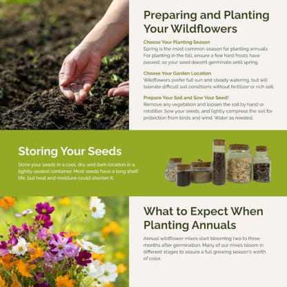 Eden Brothers All Annual Wildflower Mixed Seeds for Planting, 1 oz, Seeds with Sunflower, Indian Blanket, Scarlet Flax | Attracts Pollinators, Plant in Spring, Zones 3, 4, 5, 6, 7, 8, 9, 10 - size: 1 Ounce, style: All Annual