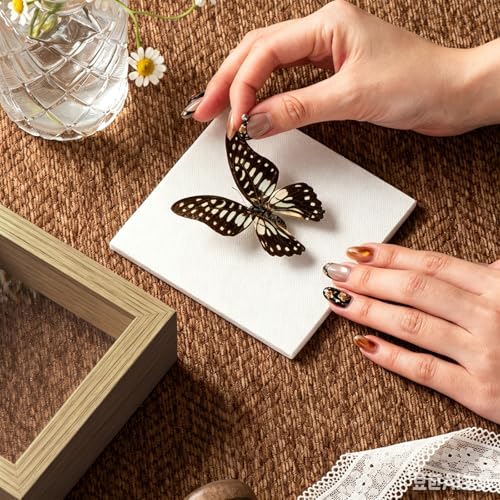 4x4 Mini Shadow Box Frame with Ultra-Clear Glass & Soft Linen Back | With Push Pins, Deep 1.2" Brown Shadow Box Display Case – Display on Tabletop or Wall for Insect, Photo, Flower, Keepsakes - color: Brown+high Definition Panel + Shatter-proof Packaging,