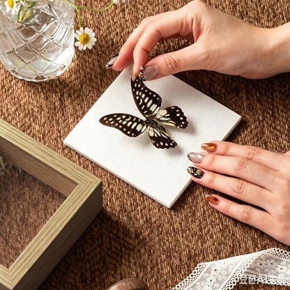 4x4 Mini Shadow Box Frame with Ultra-Clear Glass & Soft Linen Back | With Push Pins, Deep 1.2" Brown Shadow Box Display Case – Display on Tabletop or Wall for Insect, Photo, Flower, Keepsakes - color: Brown+high Definition Panel + Shatter-proof Packaging,
