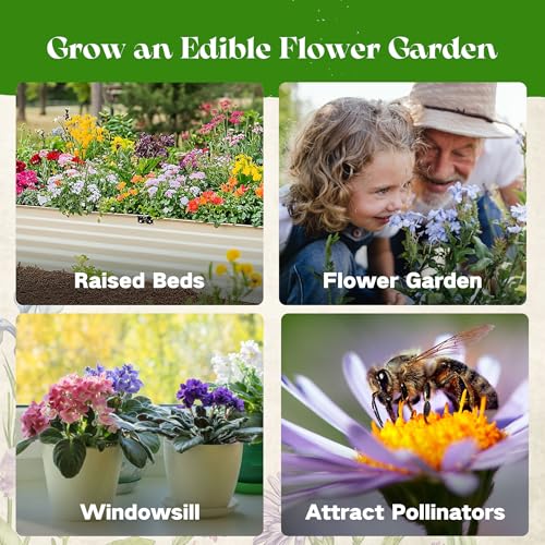 Lush&Dew Edible Flower Seed Bank with Almanac, Gardening Gifts for Women | 32 Types 30,000+ Non-GMO Heirloom Seeds for Planting Culinary Flowers, Survival Seed Kit, Gardener Gifts, Annuals Perennials - style: Edible Flowers