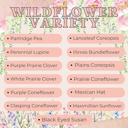 Wildflower Seed Packets in Loving Memory (Pack of 30) Funeral Gift Sympathy Remembrance Memorial Service Forget Me Not