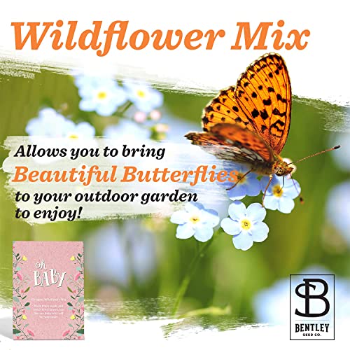 Oh Baby Flower Seeds Packets - Girl/Boy Baby Shower Favors - Pre-Filled, 25 Wildflower Seed Packs for Favor - Eco-Friendly Gift & Babys Guest Giveaways - Non-GMO Seeds - Pink - style: Oh Baby Pink