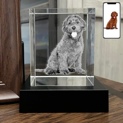 Personalized Dog, Cat Memorial Gifts for Pet Owners. Gift Box Included, Customized Laser Etched Crystal Photo (Medium Landscape) - size: Medium Landscape