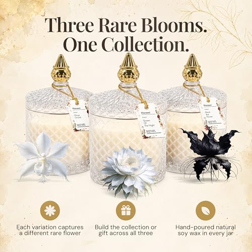 VIONAMI Ghost Orchid Rare Flower Fragrance Luxury Scented Candle Gift | Decorative Soy Candles Birthday Gifts for Women, Elegant Glass Jar, 14.8oz, 80Hr Long Lasting Burn, Luxury Candles for Women