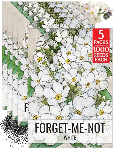 Seed Needs Forget Me Not Seeds to Plant White Flowers Outdoors 5 Packs - size: 5 Packs, style: White FMN