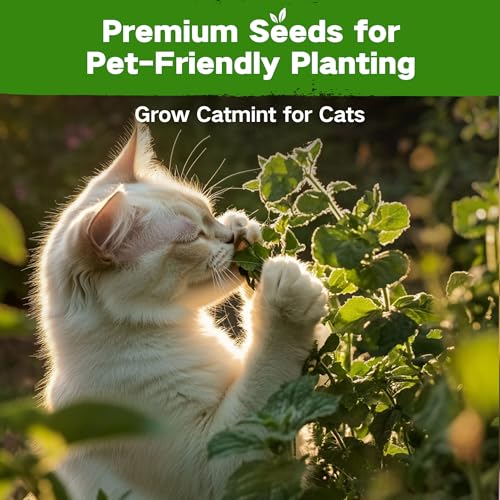 Lush&Dew Pet-Friendly Heirloom Seed Bank, Gardening Gifts for Women Men | 16 Varieties 15,000+ Non-GMO Seeds for Planting Herbs Flowers Vegetables in Raised Garden Bed Windowsill, Annuals Perennials - style: Pet-Friendly
