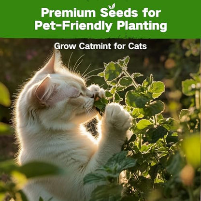 Lush&Dew Pet-Friendly Heirloom Seed Bank, Gardening Gifts for Women Men | 16 Varieties 15,000+ Non-GMO Seeds for Planting Herbs Flowers Vegetables in Raised Garden Bed Windowsill, Annuals Perennials - style: Pet-Friendly