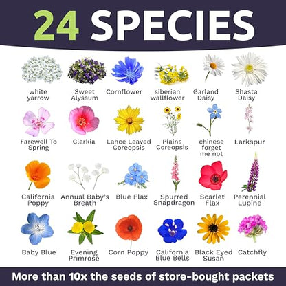 California Natives Mix - Bulk 1 Pound Bag - Over 120,000 Native Seeds - Open Pollinated and Non GMO - size: Bulk 1 Pound, style: California Regional Mix