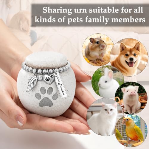 SOITIS Customized Pet Urns for Cat Dog Urns for Ashes 2.76“ Ceramic Pet Urn - color: Custom-2.76" Paw
