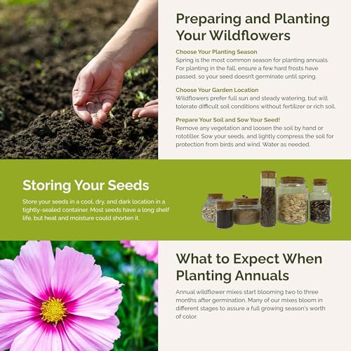 Eden Brothers Purple Rain Flower Mixed Seeds for Planting, 1 lb, 480,000+ Seeds with Zinnia Purple Prince & Violet Queen, Cosmos | Attracts Pollinators, Plant in Spring, Zones 3, 4, 5, 6, 7, 8, 9, 10 - size: 1 Pound, style: Purple Rain