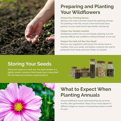 Eden Brothers Purple Rain Flower Mixed Seeds for Planting, 1/4 lb, 120,000+ Seeds with Zinnia Purple Prince & Violet Queen, Cosmos, Attracts Pollinators, Plant in Spring, Zones 3, 4, 5, 6, 7, 8, 9, 10 - size: 1/4 Pound, style: Purple Rain