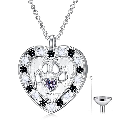 SOULMEET Memorial Pet Necklace for Ashes, Silver/White Gold Paw Print Urn Necklaces with Birthstone for Ashes Keepsake Cremation Jewelry for Pet Cats Dogs - style: F1-Locket Only-June