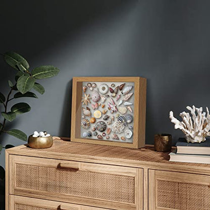 Americanflat 11x11 Shadow Box Frame with Shatter-Resistant Glass - Silhouette Collection - Large Shadow Box Display Case for Tabletop and Wall Display - Dark Oak with Soft Felt Back | Shatter-resistant glass, 1.5 inch interior depth, displays keepsakes, m