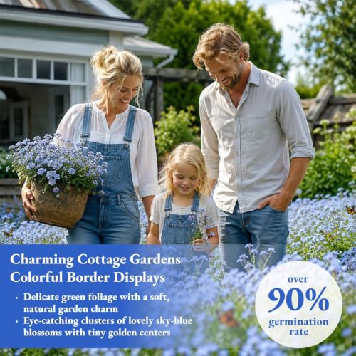 10,000+ Forget-Me-Not Seeds, Blue Cynoglossum amabile Flower for Planting - color: BLUE